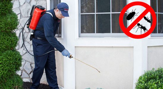 Mithatpaşa Akrep İlaçlama böcek ilaçlama ve haşere kontrolü — ilaclama-tr.com